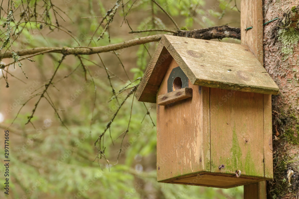 Nistkasten oder Vogelhaus für einheimische Vögel zum Schutz der Jungtiere und Eier Nistkasten oder Vogelhaus für einheimische Vögel zum Schutz der Jungtiere und Eier