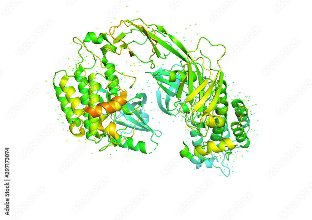 3D model of a protein molecule. 3D model of a protein molecule.