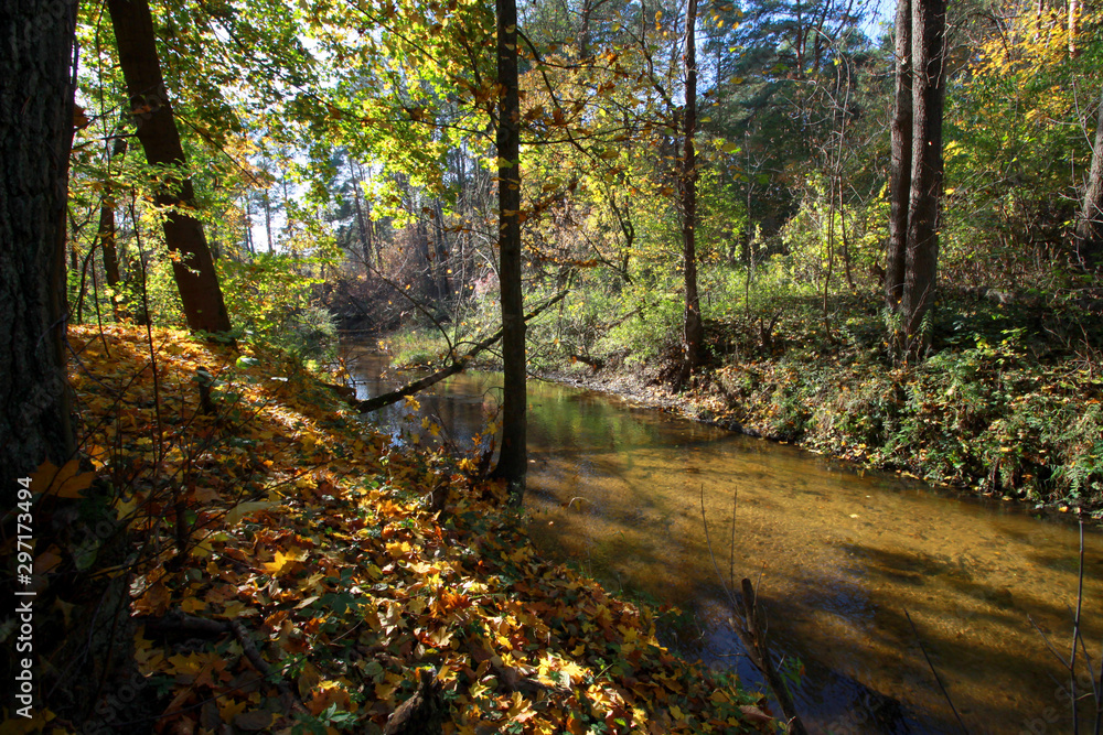 Autumn landscape with river and forest, Mienia river nature reserve, Mazovia, Poland