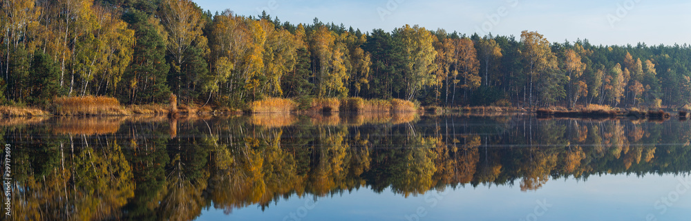 Autumn colors of trees by the lake