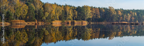 Autumn colors of trees by the lake