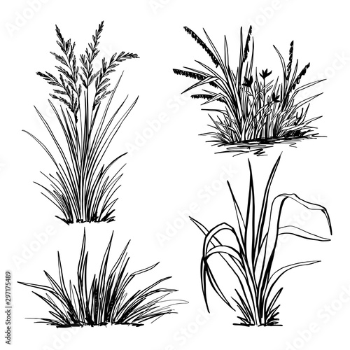 A set of hand-drawn grass, black forts for graphic design.