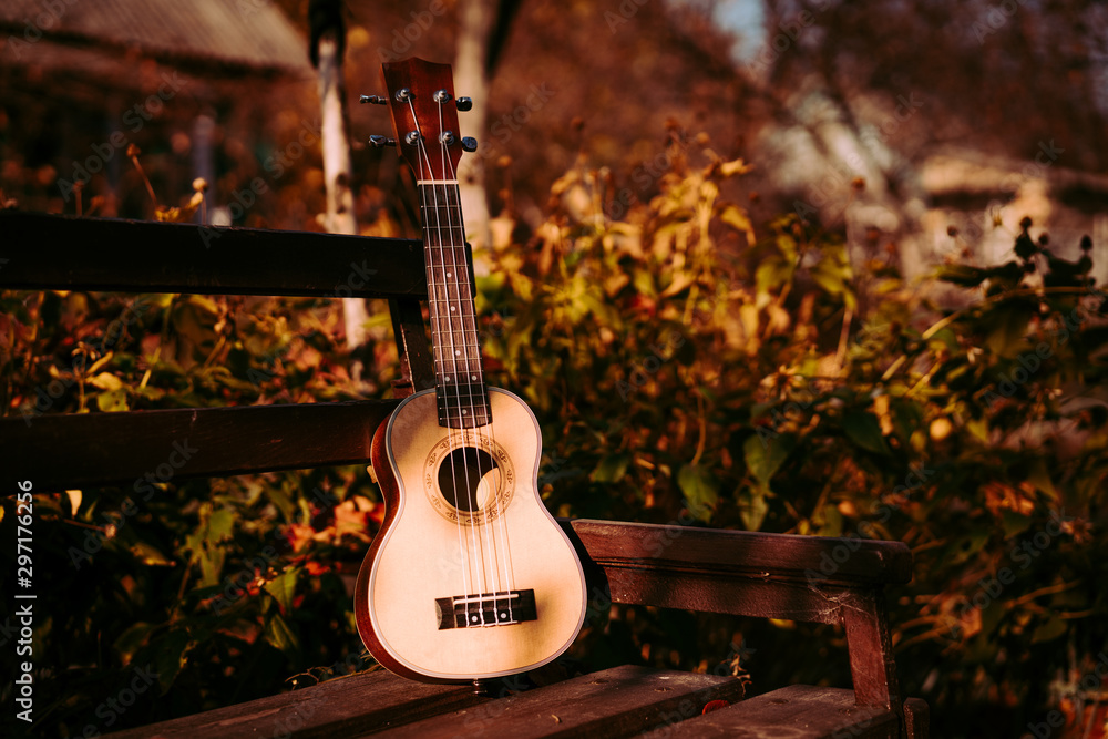 Fototapeta vintage ukulele on a bench in a park. autumn