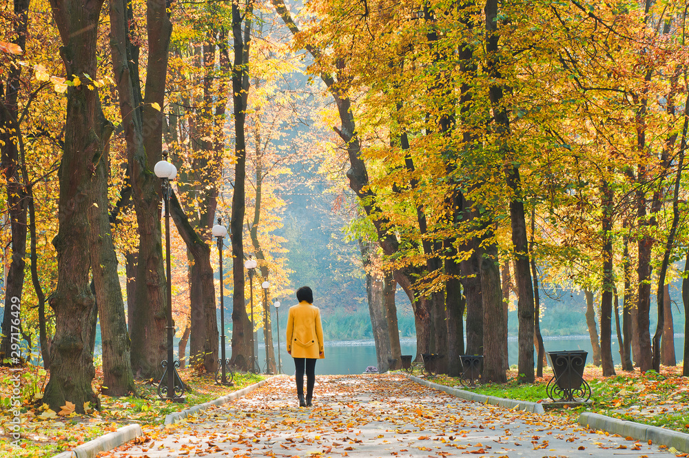 Park near the river is getting autumn colors. A woman walks along the park alley Park near the river is getting autumn colors. A woman walks along the park alley