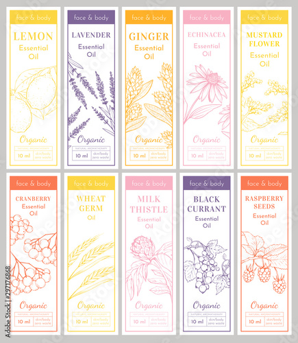 Cosmetic Essencial Oils Vertical tags. Vector Print Template Set of Flyers or banners. Lavender, Echinacea Herbs. Raspberry Seeds, Black Currant Engraved Berries. Lemon Fruit Sketches.