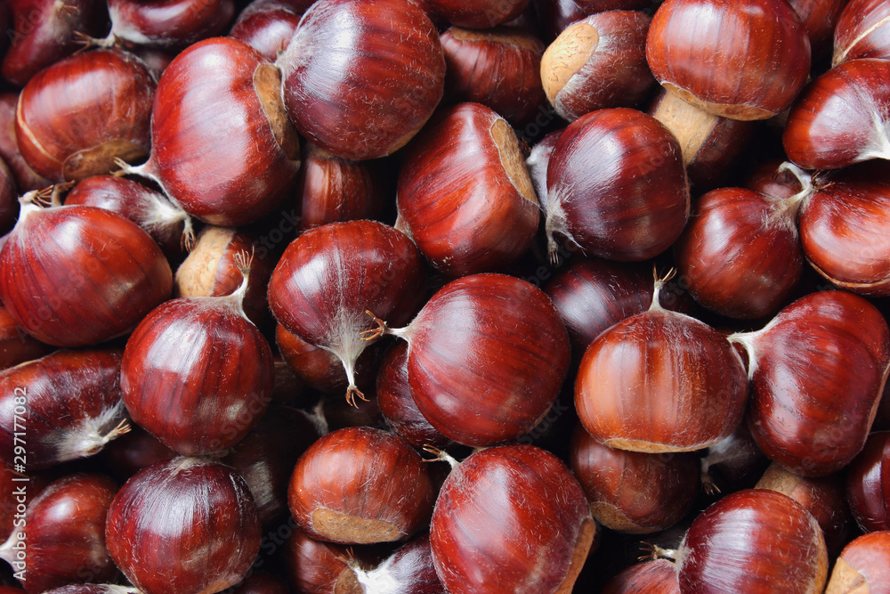 Group of shiny brown sweet chestnuts background. Top view. Group of shiny brown sweet chestnuts background. Top view.