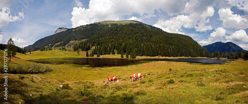 Der Seewaldsee im Tennengebirge photo