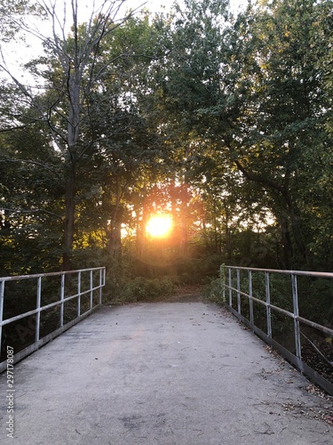 alley in the park with sun rays coming through the trees