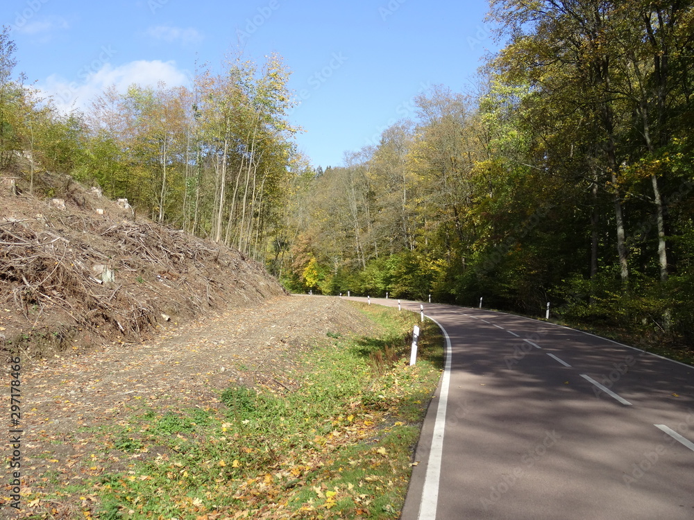 Fototapeta premium Landstraße