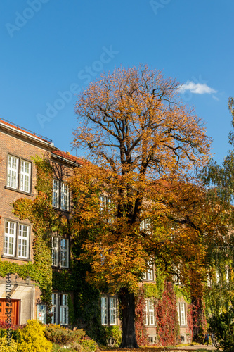 Wallpaper Mural Wawel Castle in autumn Torontodigital.ca