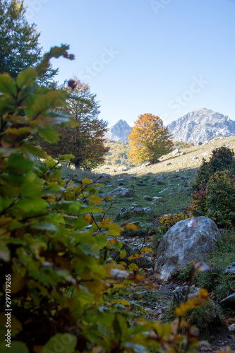 Abruzzo national park