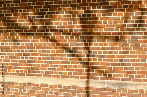 Reddish brown color vintage brick wall texture with a quilted look, showing shadows of a tree and street lamp photo