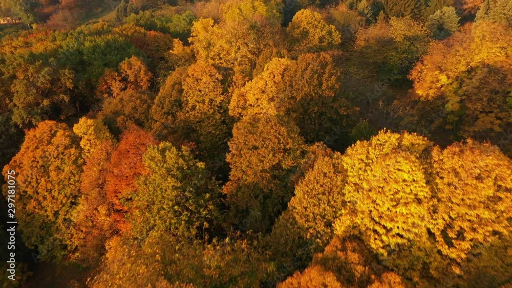 4K Flying over autumn park early in the morning aerial shot 4K Flying over autumn park early in the morning aerial shot