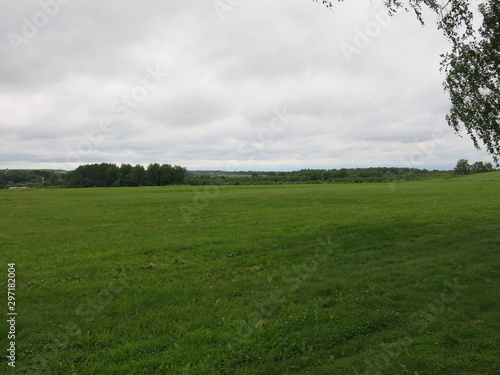 Borodino field, where Napoleon was defeated, in the summer