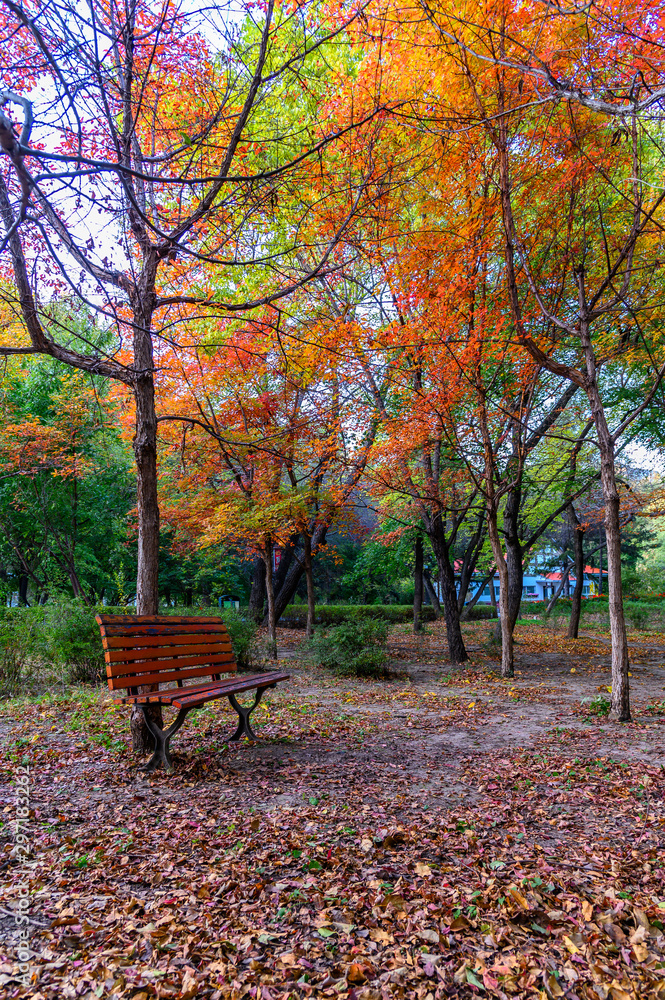 Autumn landscape of Nanhu Park, Changchun, China