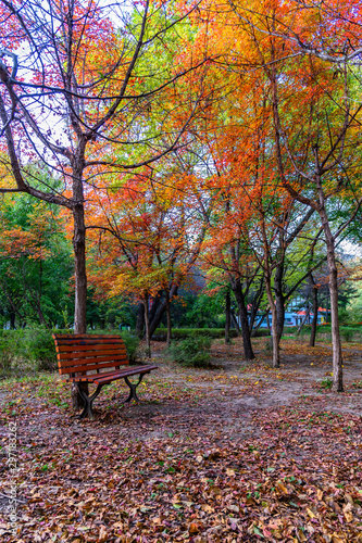Autumn landscape of Nanhu Park  Changchun  China