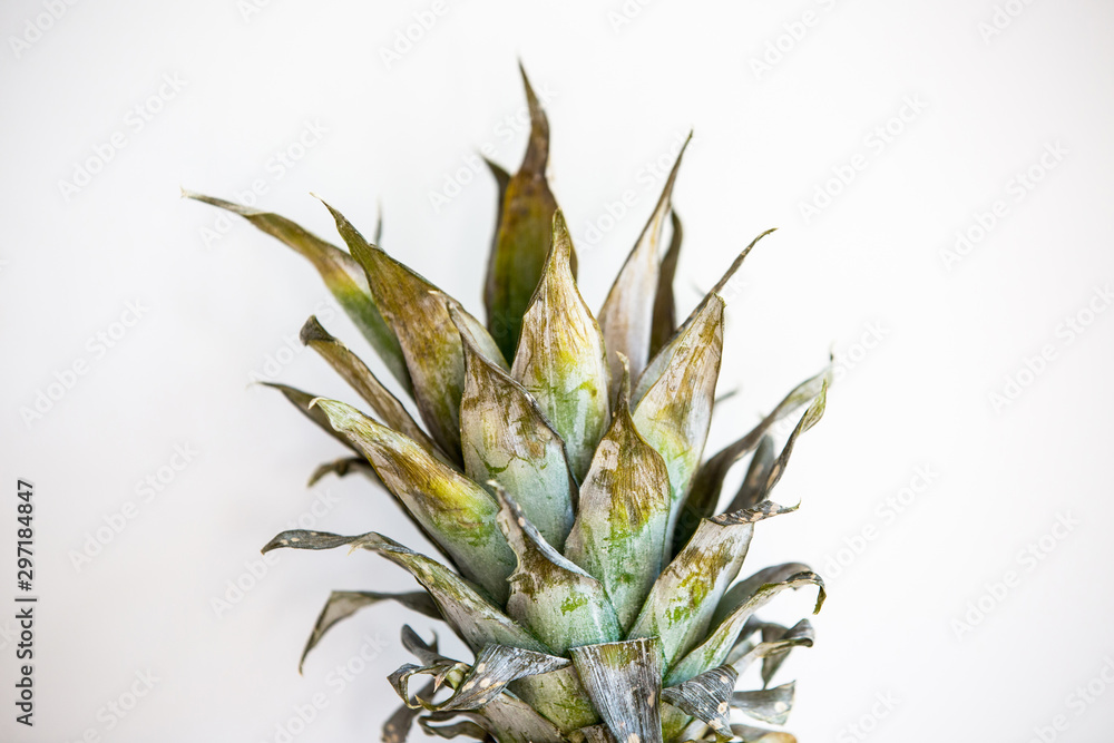 Tasty whole pineapple with leaves Tasty whole pineapple with leaves
