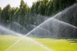 Watering green grass sprinkler.   Sprinkler with automatic system. Garden irrigation system watering lawn. 