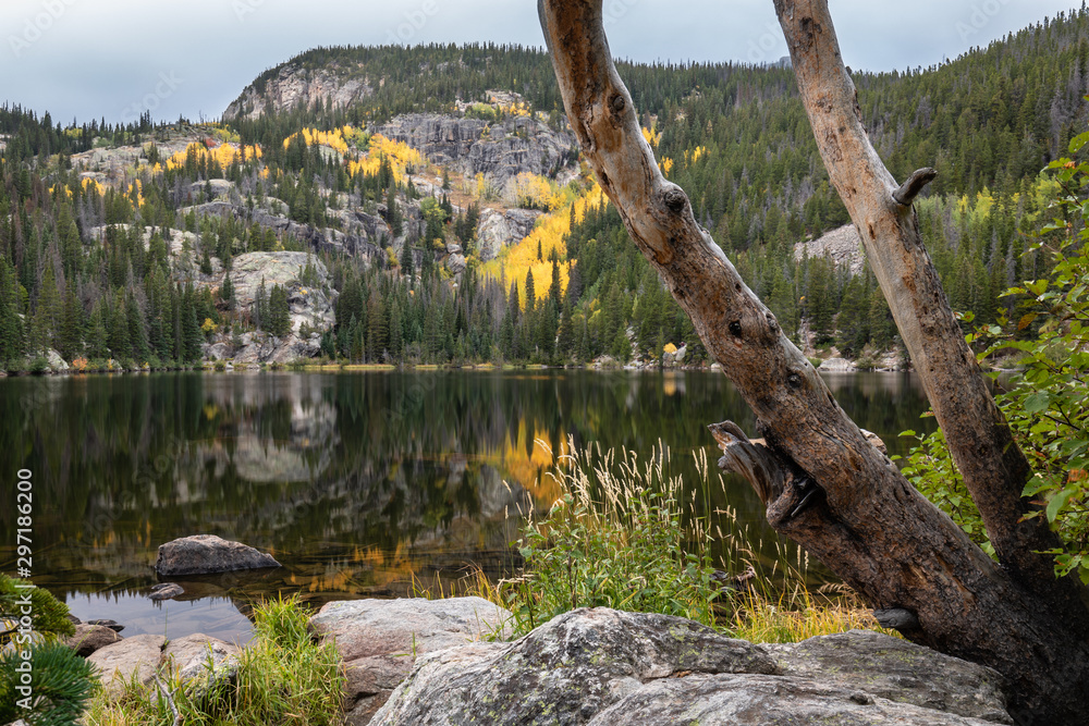 Fototapeta premium bear lake rocky mountain national park