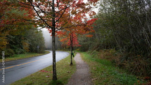 Obraz na plátně Fall colours brighten a damp and gloomy Fall day near TransCanada Trail at Burna