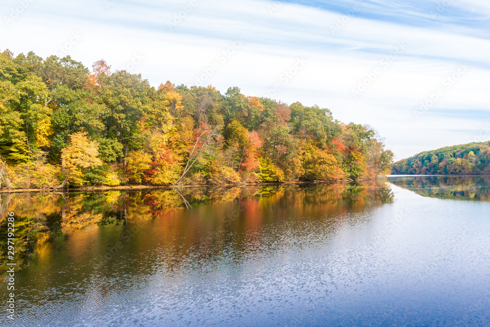 Autumn leaves on the reservoir