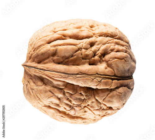 walnut in shell isolated on a white background photo