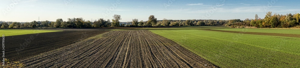panorama of autumn fields with green winter cereals and freshly plowed and harrowed fields