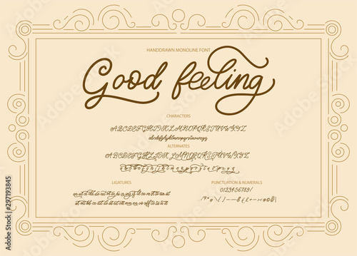 Hand drawn calligraphic vector monoline font. Distress signature letters. Modern script calligraphy type. ABC typography latin signature alphabet.