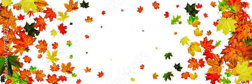 Autumn leaves on ground. November falling pattern background. Thanksgiving season concept
