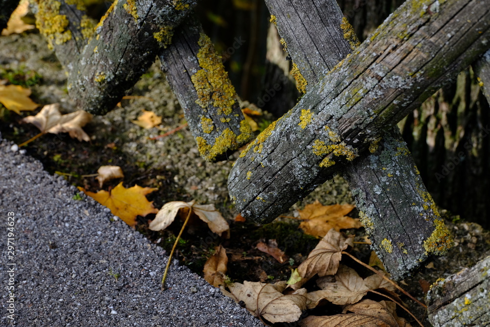 Jägerzaun Gartenzaun Herbst close up verwittert Jägerzaun Gartenzaun Herbst close up verwittert