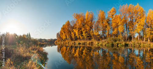 Bright autumn morning landscape. panoramic view from the river bank to lush orange-yellow trees across the river beautifully reflected on the surface of the water