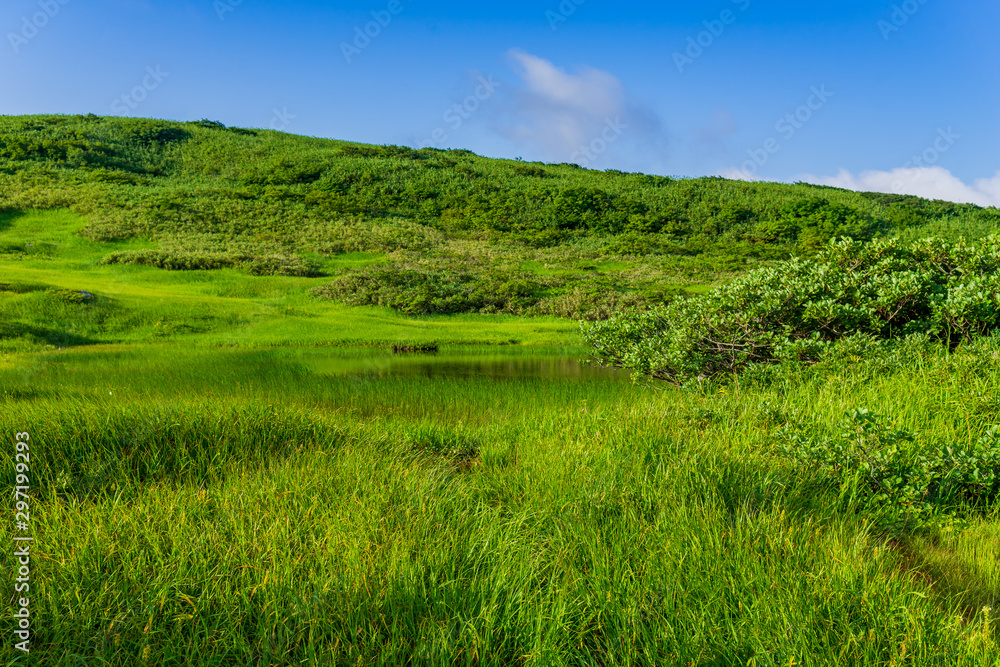 Naklejka premium 【山形県】日本百名山 夏の月山 弥陀ヶ原湿原