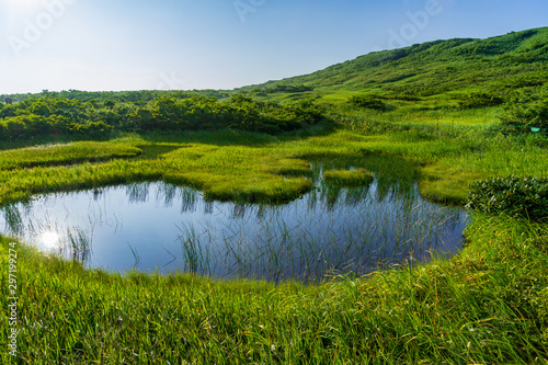 【山形県】日本百名山　夏の月山　弥陀ヶ原湿原
