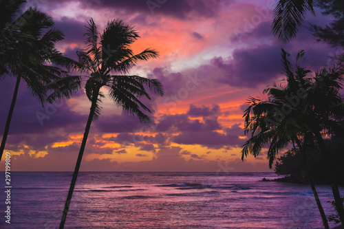 Hawaii Palm Tree Sunset