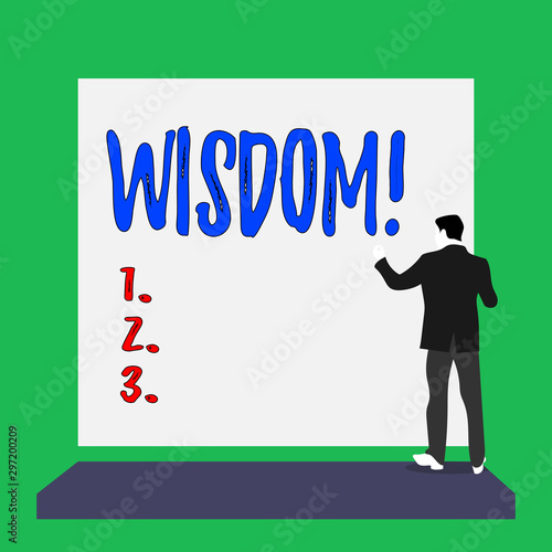 Handwriting text Wisdom. Conceptual photo quality having experience knowledge and good judgement something Short hair immature young man stand in front of rectangle big blank board © Artur