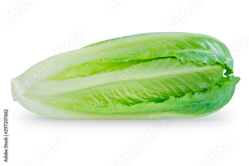 фотографія Close-up green fresh romaine lettuce  isolated on white background
