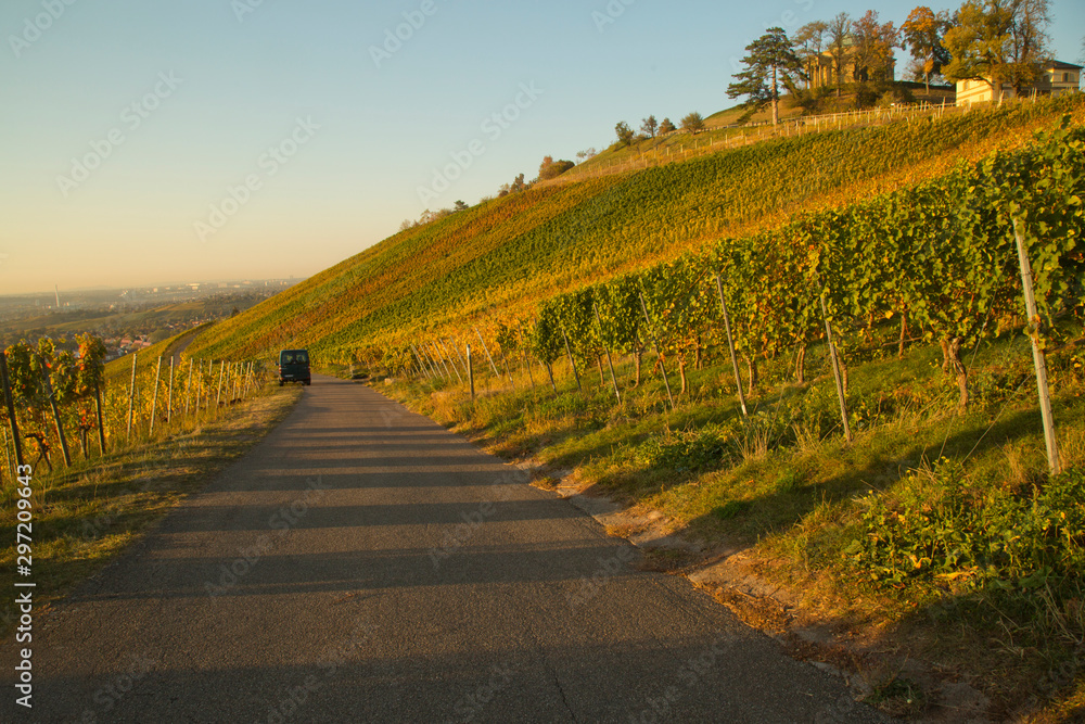 Fototapeta premium The Vineyard in Stuttgart, Germany.