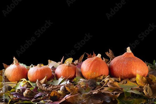 Groupe de potimarron sur un lit de feuilles d'automne, fond noir photo