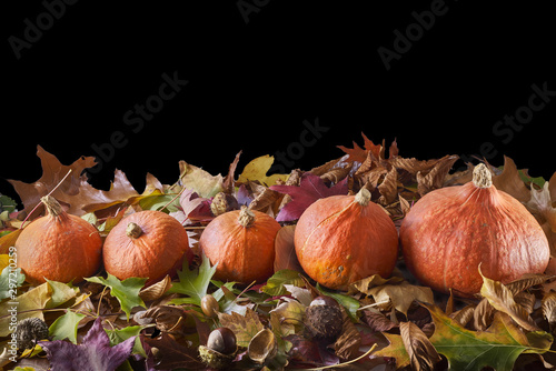 Groupe de potimarron sur un lit de feuilles d'automne, fond noir photo