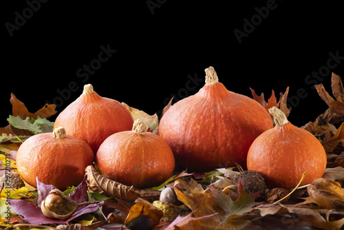 Groupe de potimarron sur un lit de feuilles d'automne, fond noir photo