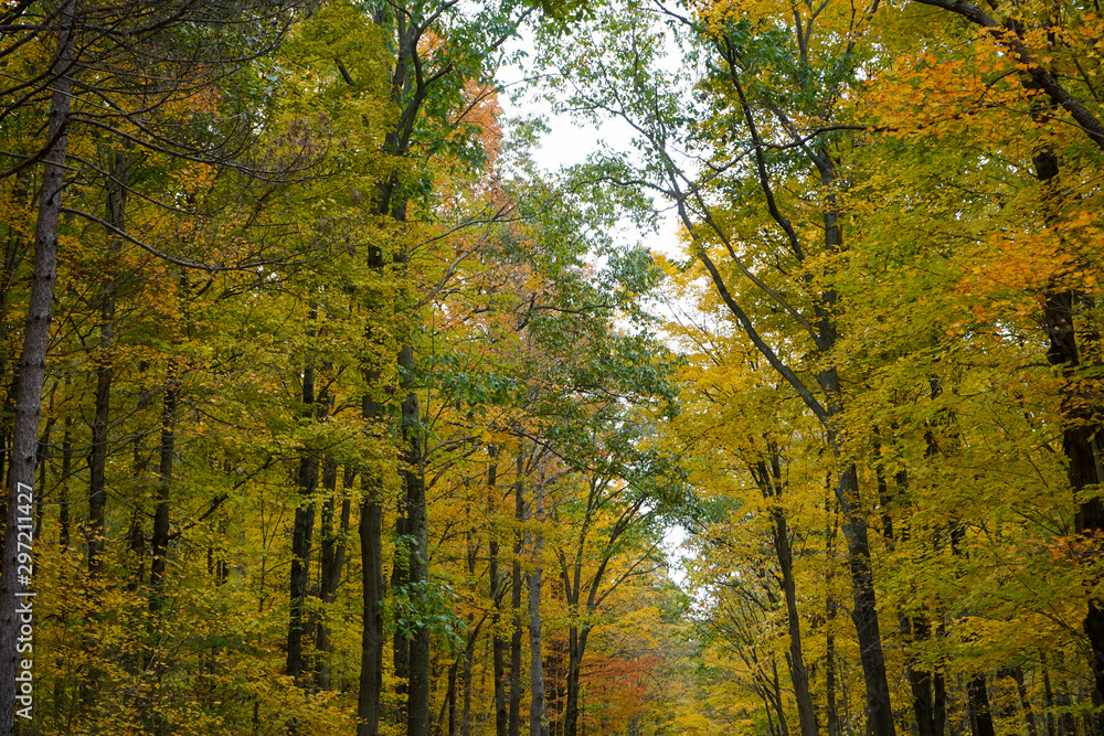 Drive through the backroads of Western Pennsylvania during the peak of fall foliage.