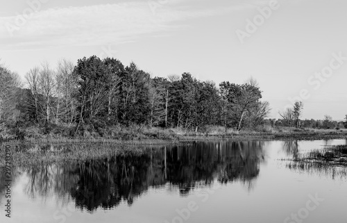 Black and white autumn trees along the waters edge 