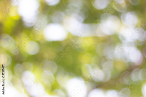 abstract background with bokeh © ooddysmile