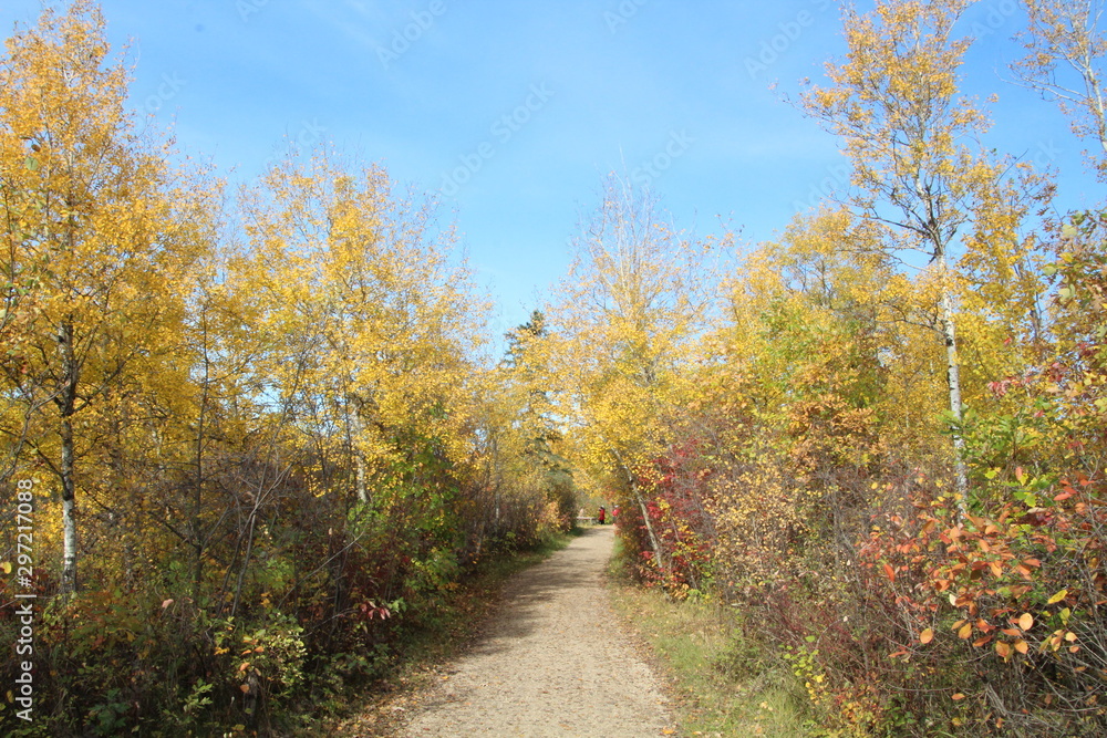 Autumn On The Trail, William Hawrelak Park, Edmonton, Alberta Autumn On The Trail, William Hawrelak Park, Edmonton, Alberta
