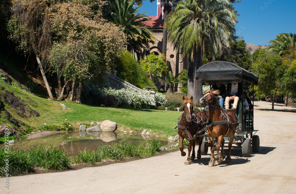 Romantic Horse and Carriage Ride in Santa Rita Winery Chile Romantic Horse and Carriage Ride in Santa Rita Winery Chile