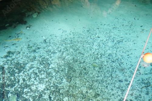 Swimming in Gran cenote photo