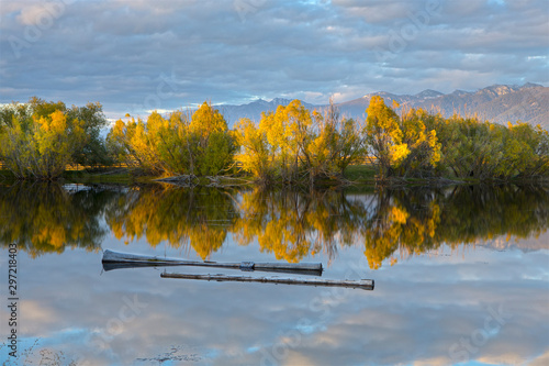 Two logs in the calm water in a Montana pond. photo