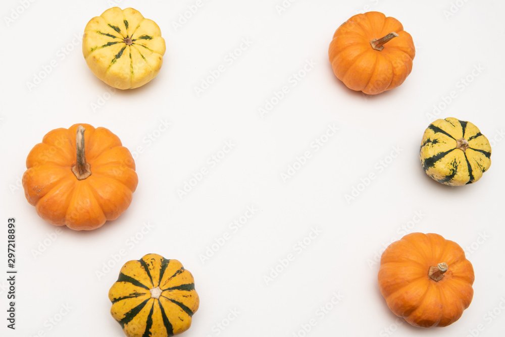 Flat-lay of mini pumpkins on white background Flat-lay of mini pumpkins on white background
