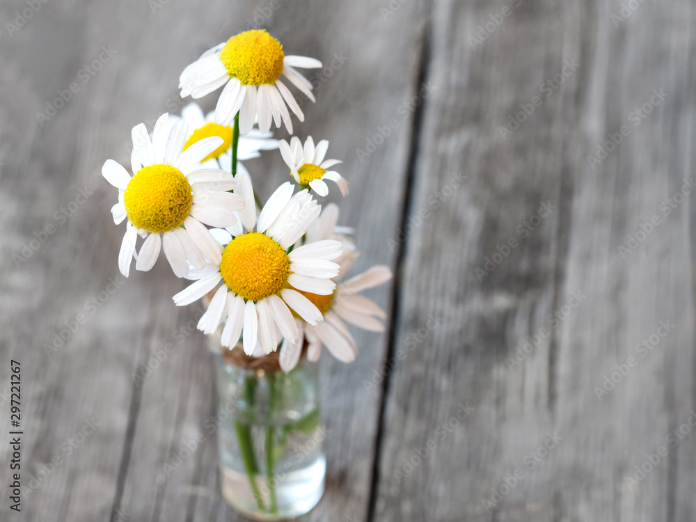 Obraz premium White daisy flower on rustic weathered wooden table