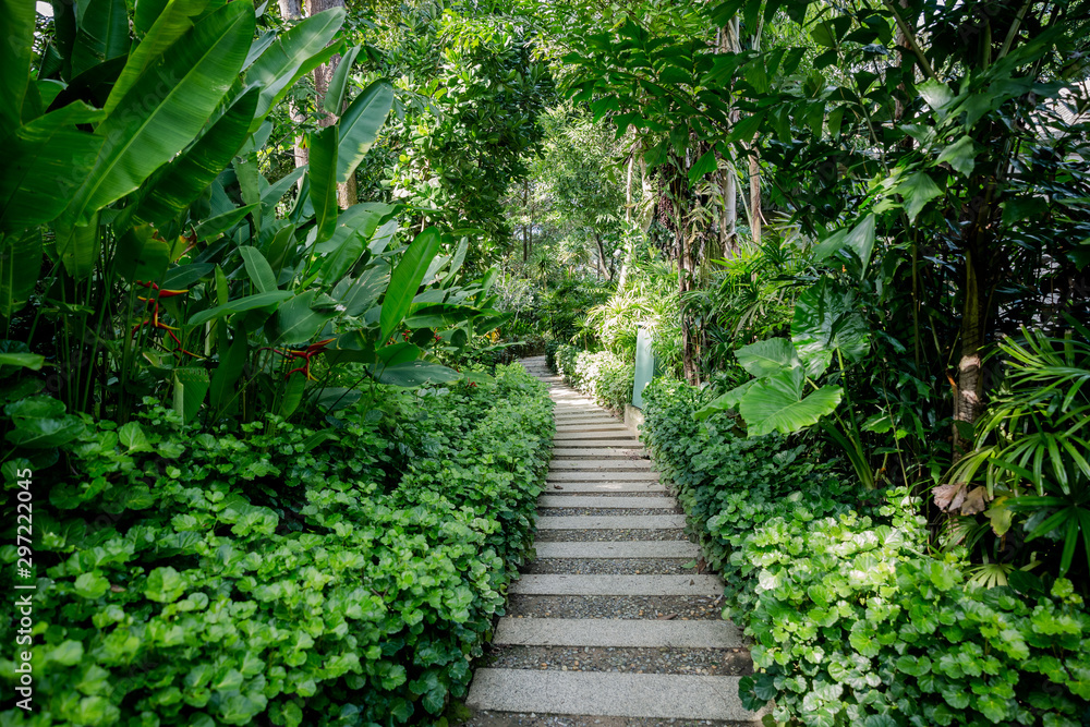 path in the garden path in the garden